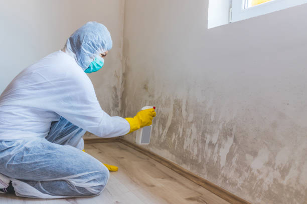 Commercial Mold Remediation assessment for commercial property in Loysburg